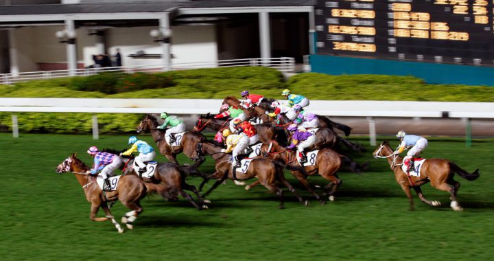 香港赛马有百多年历史，最早期马匹只有英文名。