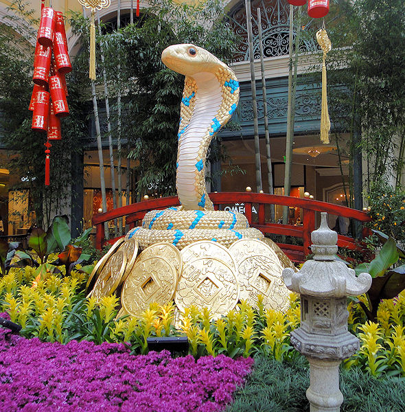 百乐宫温室2013年蛇年花卉