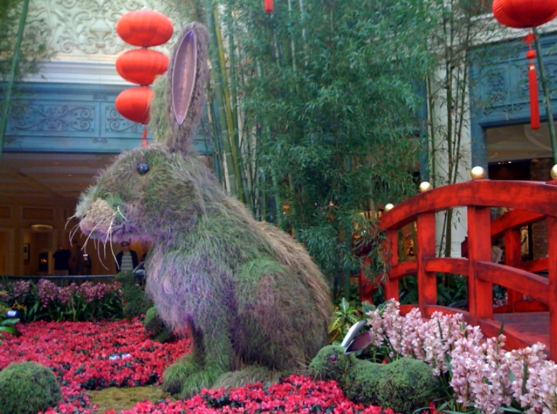 百乐宫温室2011年兔年花卉