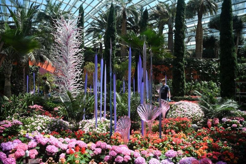 新加坡滨海湾将以绚丽奇幻的花园迎接旅游气泡的旅客