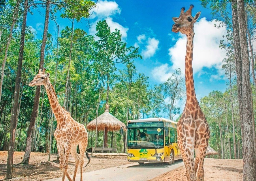 越南富国联合中心东半部的半野生动物园